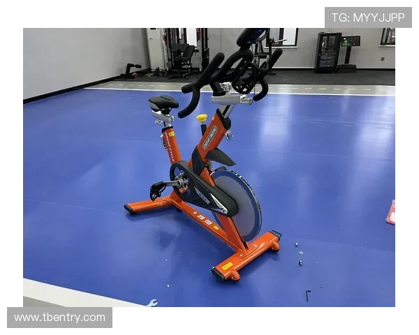 小型健身器材分类大全及家庭适用性分析